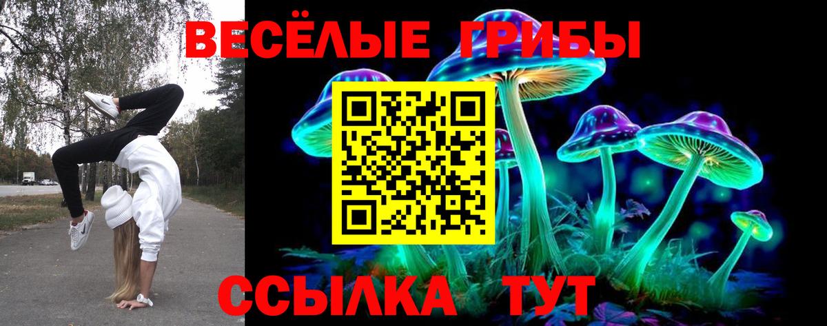 Галлюциногенные грибы Cubensis Чебаркуль